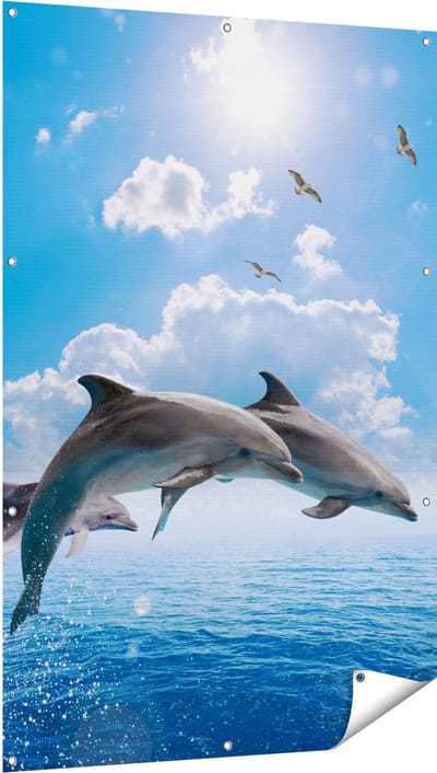 Gards Tuinposter Dolfijnen Springen uit de Blauwe Zee - 100x150 cm - Tuindoek - Tuindecoratie - Wanddecoratie buiten - Tuinschilderij