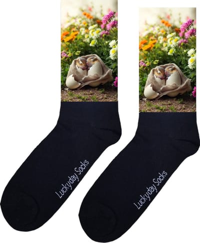 Eekhoorn - Opkikker - Grappige sokken - Valentijn cadeau - Verjaardag cadeau - Sint cadeau - Leuke sokken - Ei - Leuk cadeau - Vrolijke sokken - Cadeautje - Grappig cadeau - Kerstsokken - Vaderdag - Moederdag - Bloemen - Socks maken Happy - 37-44