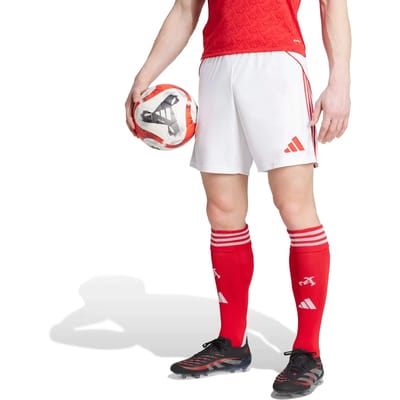 Korte Domicile Arsenal 2025/26