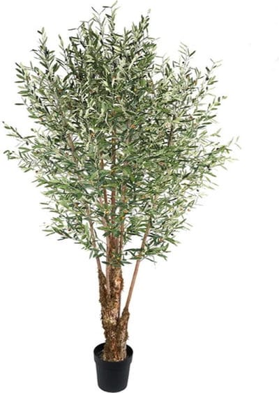 Kunst Olijf op Stam - 264 cm