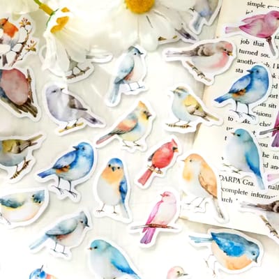 46 stickers per doos, vogel thema, zelfklevende vogel stickers
