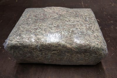 Timothy Hooi - Knaagdieren - Konijnen - Paarden - 4 kg