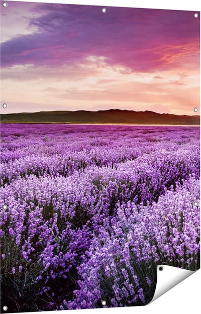 Gards Tuinposter Bloemenveld met Paarse Lavendel - Bloemen - 90x120 cm - Tuindoek - Tuindecoratie - Wanddecoratie buiten - Tuinschilderij