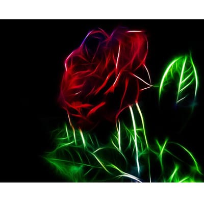 5D Diamond schilderij Rose Diamond borduurwerk kruissteek Strass mozaïek schilderij 20X30CM black