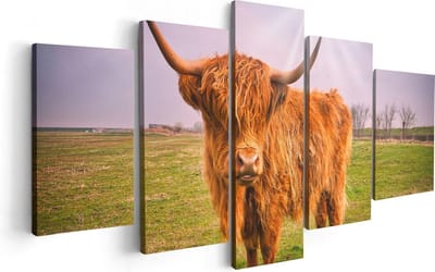 Artaza Canvas Schilderij Vijfluik Bruine Schotse Hooglander Koe - Kleur - 100x50 - Foto Op Canvas - Canvas Print