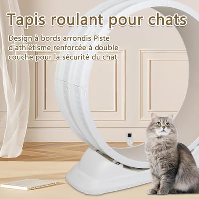 Loopband voor katten - Trainingswiel - Actieve Huisdieren - Stille Werking - 85 x 80 cm - Wit