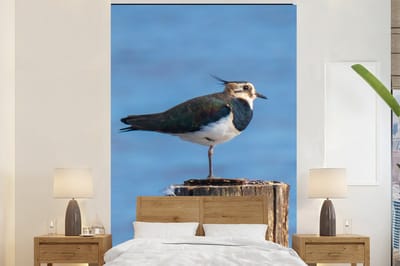 Behang - Fotobehang Vogel - Dieren - Paal - Blauw - Kievit - Breedte 225 cm x hoogte 350 cm