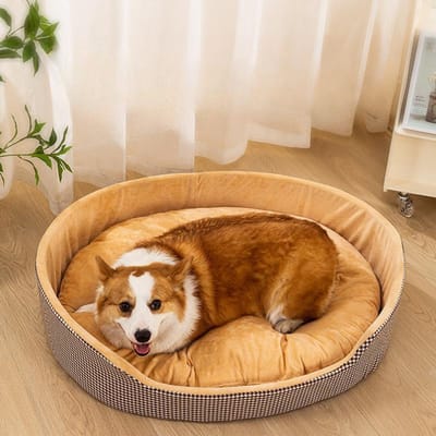 Nouveau Nid pour Chat Nid pour Chien Nid pour Animal de Compagnie Nid à Carreaux Ovale avec Tapis Nid en Peluche Résistant aux Morsures Non-collant Poil Nid pour Animal de Compagnie S(50*42) beige