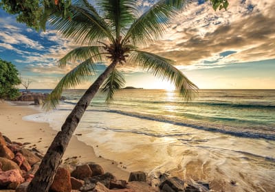 Fotobehang Vlies | Strand, Zee | Groen | 368x254cm (bxh)