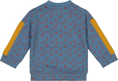 4PRESIDENT Sweater jongens - Zoo AOP - Maat 62 - Jongens trui