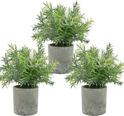 Mini Kunstplanten Set van 3 - Neppflanten voor Decoratie van Planken, Tafels en Kantoorruimtes