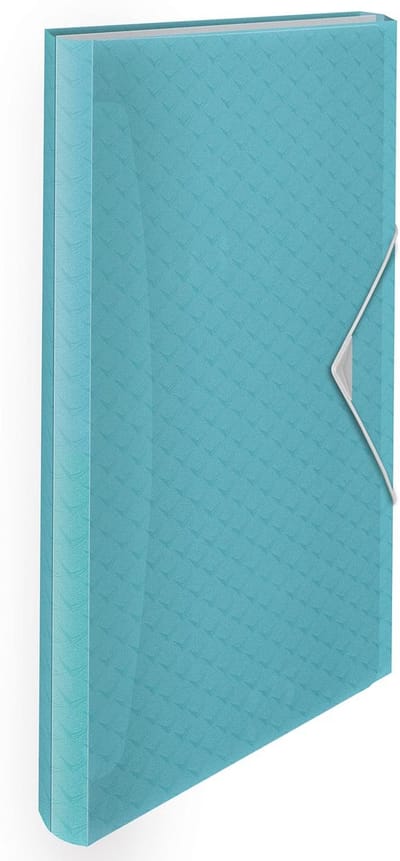 Esselte Colour'Breeze A4 Uitzetbare Projectmap - Organiser met 5 Tabbladen/6 Vakken - Blauw