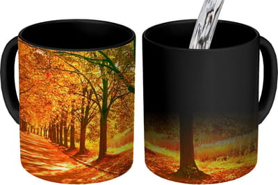 Magische Mok - Foto op Warmte Mokken - Koffiemok - Bos - Herfst - Seizoenen - Landelijk - Magic Mok - Beker - 350 ML - Theemok