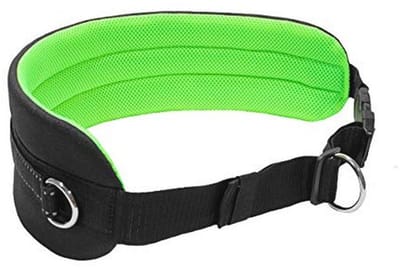Canicross joggen en loopriem - Ergonomische en reflecterende wandelriem voor honden