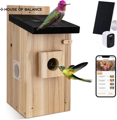 HOB Smart Vogelhuis met Camera - Solar - HD Camera - Incl. App - Nestkastje - Wildcamera - Nacht Camera - Zonne Energie - WIFI