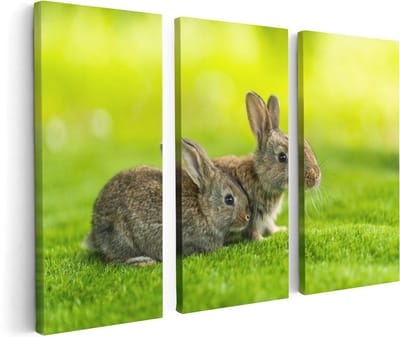 Artaza Canvas Schilderij Drieluik Twee Konijnen Op Het Groene Gras - 120x80 - Foto Op Canvas - Canvas Print