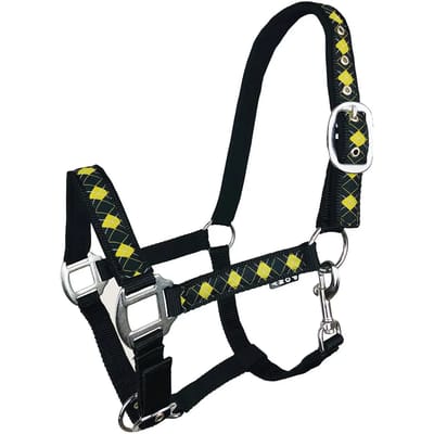 Halster voor paarden York Kimi