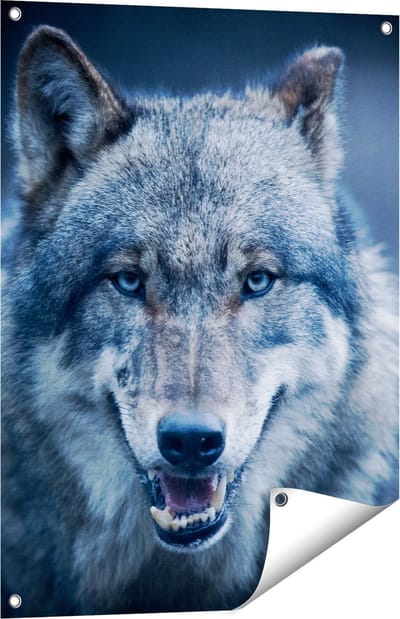 Gards Tuinposter Wolvenkop met Blauwe Ogen - Wolf - 60x80 cm - Tuindoek - Tuindecoratie - Wanddecoratie buiten - Tuinschilderij