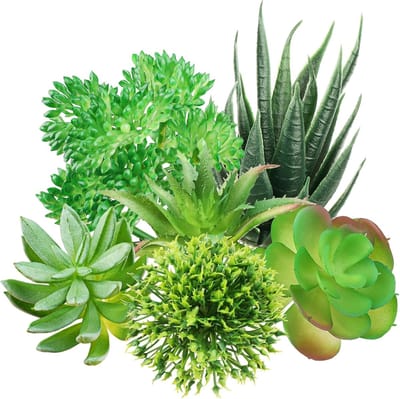 Set van 6 Mini Nepplantjes, Groene Succulenten voor DIY Decoratie van Thuis, Kantoor en Muurdecoratie