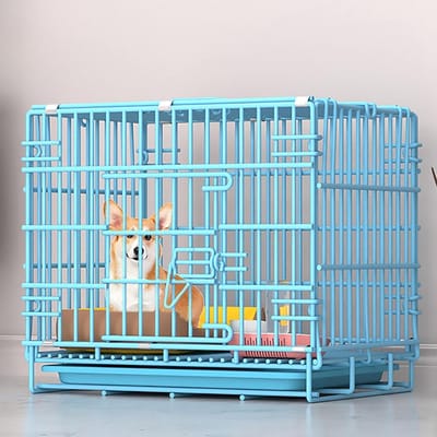Hondenbench - Huisdier kennel - Veilig transport - Opvouwbaar ontwerp - 50 x 32 x 38cm - Zwart