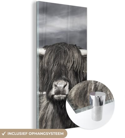 MuchoWow® Glasschilderij 20x40 cm - Schilderij acrylglas - Schotse Hooglander - Dieren - Hoorns - Foto op glas - Schilderijen