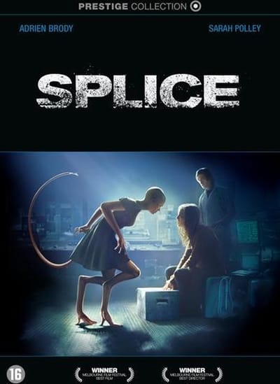 Splice
