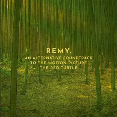 Red Turtle - Remy Van Kesteren