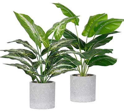Solidchoice- Nepplanten 2 Pack - Kunstplanten voor Binnen - Kunstplant in Pot - Decoratie voor Kantoor/Bureau - Hoogte 40 cm - Hoge Kwaliteit Plastic