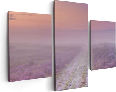 Artaza Canvas Schilderij Drieluik Pad in de Weide tijdens de Mist - 90x60 - Foto Op Canvas - Canvas Print