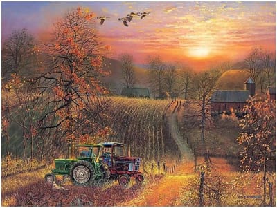 Puzzel 275 Stukjes - Legpuzzel Fotografie - Ontspannen Thuis - Willekeurig Gesneden Stukjes - 99 x 67 cm - Meerdere Kleuren
