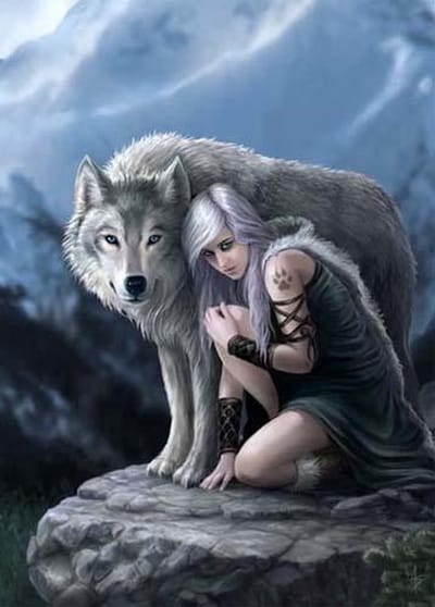 Anne Stokes Wenskaart Protector