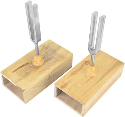 Stemvork Instrument - Trilling Experiment - Geluidsstudie Demonstratie - Met Houten Resonator - 440 Hz Frequentie