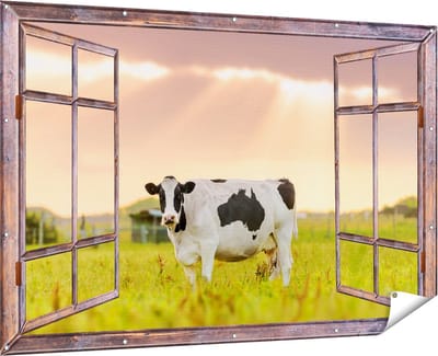 Gards Tuinposter Doorkijk Zwart Wit Koe in de Wei bij Zonsopkomst - 180x120 cm - Tuindoek - Tuindecoratie - Wanddecoratie buiten - Tuinschilderij