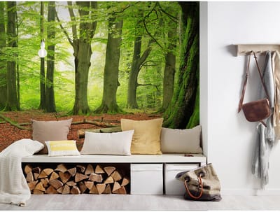 Fotobehang Forest DD114976 A.S. Création XXL 5 | Fotobehang online webshop