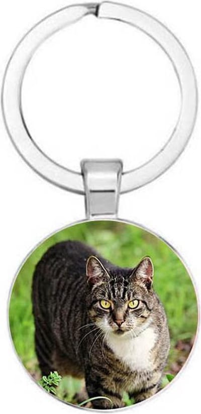 Akyol - Kat sleutelhanger - Sleutelhanger Kat - Katten pootjes Sleutelhanger - Katten - Poesje sleutelhanger - Cadeau kat - Cat keychain - Kattenspeelgoed