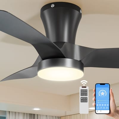 Epochglo Plafondventilator met Verlichting Klein (30"), Stille DC Motor & APP/Afstandsbediening, 22W LED Lamp Dimbaar 3000K-6000K, 6 Standen & Timer, Zomer- en Winterstand voor Slaapkamer, Eetkamer, Woonkamer, Zwart