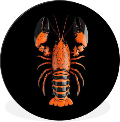 WallCircle - Wandcirkel - Muurcirkel - Kreeft - Oranje - Zwart - Modern - Aluminium - Dibond - 60x60 cm - Binnen en Buiten