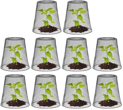 10 stuks Plantenpotbeschermers - Metalen draadklokken voor het kweken van zaailingen -Plantbeschermhoes-Tuinkap, Beschermkooi voor zaailingen en gewassen, Hulpmiddel voor teelt en verzorging- Zwart