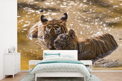 Behang - Fotobehang Tijger - Water - Welp - Breedte 420 cm x hoogte 280 cm