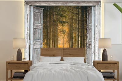 Behang - Fotobehang Bos - Herfst - Doorkijk - Breedte 350 cm x hoogte 350 cm