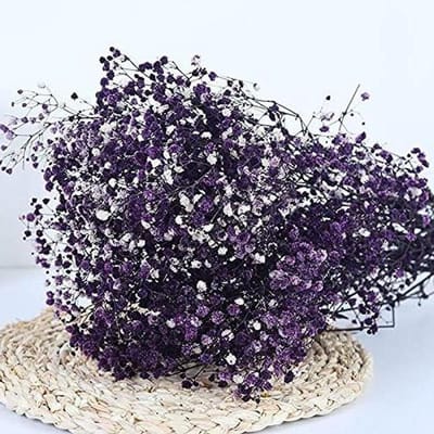 Gedroogde Bloem Boeket - Natuurlijke Decoratie - Huis Verfraaien - Natuurlijk en Duurzaam - 15-30cm 20g - Paars