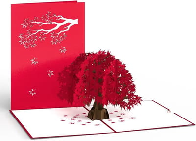 Pop-up Boomkaart Esdoorn Prachtig Natuurkaart