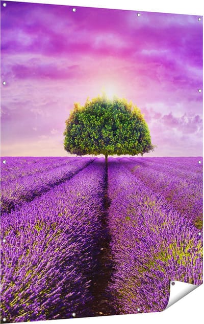 Gards Tuinposter Groene Boom in de Lavendel Bloemen - 120x160 cm - Tuindoek - Tuindecoratie - Wanddecoratie buiten - Tuinschilderij