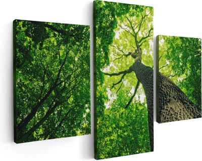 Artaza Canvas Schilderij Drieluik Boom In Het Bos Met Fel Groene Bladeren - 90x60 - Foto Op Canvas - Canvas Print