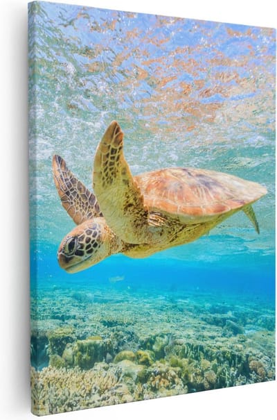 Artaza Canvas Schilderij Schildpad Onderwater - 40x50 cm - Muurdecoratie Zee - Wanddecoratie Woonkamer - Kamer Accessoires