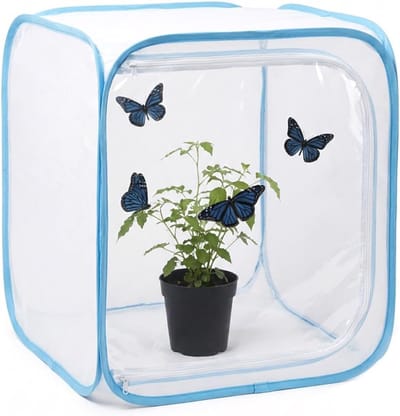 Pop-up Vlinder Habitat - Insecten Terrarium – Draagbare Mesh Observatiekooi voor Rupsen, Vlinders en Kleine Insecten – Geschikt voor Buiten en Educatief Gebruik - Blauw - 30*30*30CM