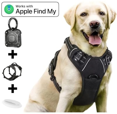 BlueTime - Hondenharnas - Inclusief Tag Case - Inclusief Tag - Hondentuig - Honden Harnas - Honden Tuigje - Hondentuig - Honden Riem - Hondentuigje Kleine hond - Honden Halsband - Geschikt voor Apple Find My - Maat S - Zwart