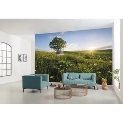 Fotobehang - Frühling auf dem Land 450x280cm - Vliesbehang