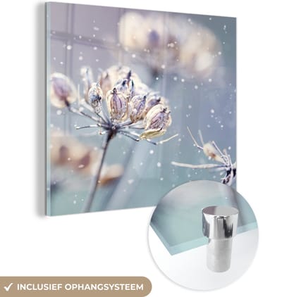 MuchoWow® Glasschilderij 90x90 cm - Schilderij acrylglas - Bloemen - Sneeuw - IJs - Winter - Botanisch - Foto op glas - Schilderijen