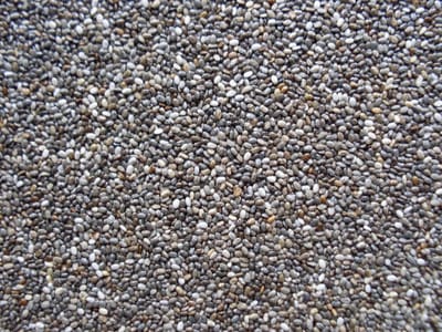 Chiazaad 1 Kilo - Superfood voor Vogels - Raw Chia Zaad
